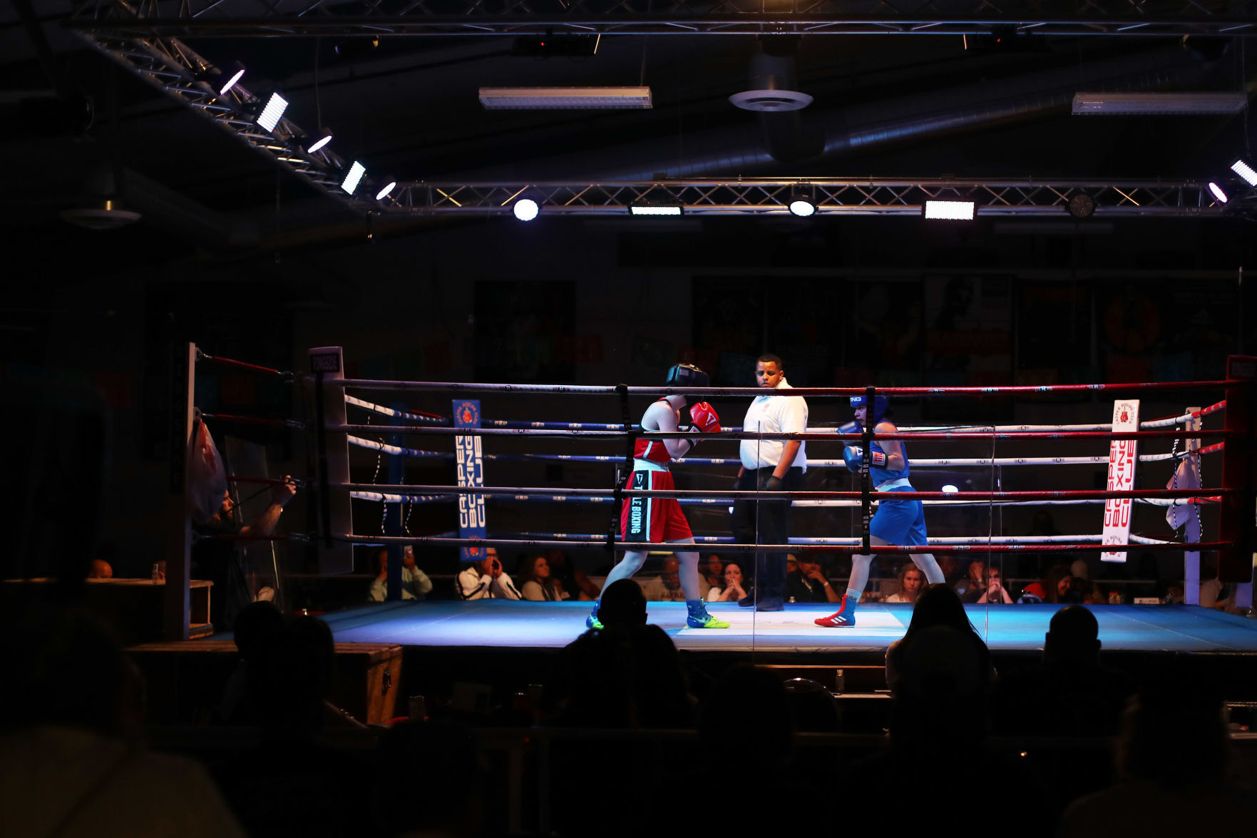 Boxing Sisters